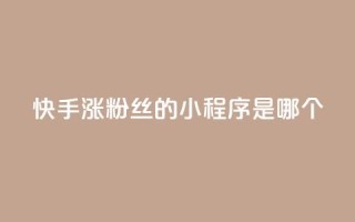快手涨粉丝的小程序是哪个,彩虹云商城怎么自动补充卡密 - ks一键取赞下载 - 低价购买QQ会员的平台