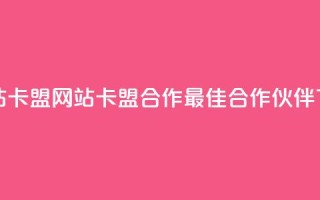刷qqvip网站卡盟 - qqvip网站卡盟合作——最佳合作伙伴~