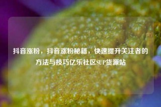 抖音涨粉，抖音涨粉秘籍，快速提升关注者的方法与技巧亿乐社区SUP货源站
