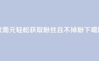 仅需1元轻松获取3000粉丝且不掉粉