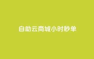 自助云商城24小时秒单,低价下单平台业务 - qq主页名片点赞1元一万 - QQ空间刷人气工具