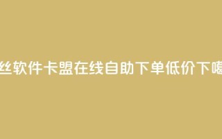 粉丝软件 - 卡盟ks在线自助下单低价