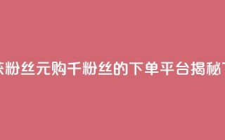 低价获粉丝 1元购千粉丝的下单平台揭秘