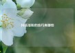 抖音涨粉的技巧有哪些