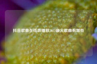 抖音歌曲在线听播放2022最火歌曲有哪些