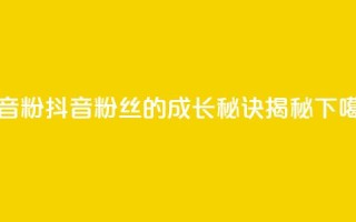抖音500粉 - 抖音500粉丝的成长秘诀揭秘~