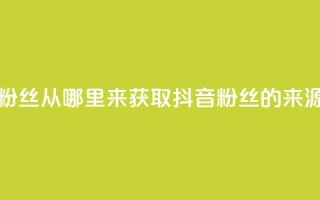 抖音粉丝从哪里来获取(抖音粉丝的来源解析)