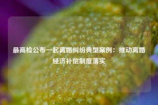 最高检公布一起离婚纠纷典型案例：推动离婚经济补偿制度落实