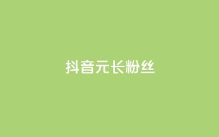 抖音1元长1000粉丝 - 1元在抖音能获得1000个粉丝靠谱吗？~