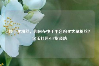 快手买粉丝，如何在快手平台购买大量粉丝？亿乐社区SUP货源站