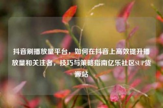 抖音刷播放量平台，如何在抖音上高效提升播放量和关注者，技巧与策略指南亿乐社区SUP货源站