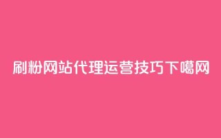 刷粉网站代理运营技巧
