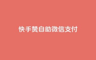 快手赞自助微信支付,快手业务在线下单平台全网最低 - 子潇24小时下单 - 空间访问量50000免费