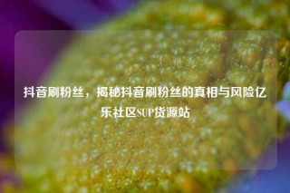 抖音刷粉丝，揭秘抖音刷粉丝的真相与风险亿乐社区SUP货源站
