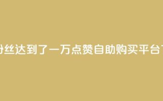 快手粉丝达到了一万 - 点赞自助购买平台