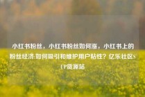 小红书粉丝，小红书粉丝如何涨，小红书上的粉丝经济:如何吸引和维护用户粘性？亿乐社区SUP货源站