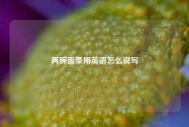 两碗面条用英语怎么说写