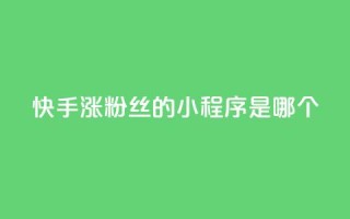 快手涨粉丝的小程序是哪个,彩虹云商城怎么自动补充卡密 - ks一键取赞下载 - 低价购买QQ会员的平台