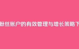 快手粉丝账户的有效管理与增长策略