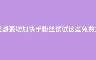 快手免费粉丝 - 想要增加快手粉丝？试试这些免费方法吧！。
