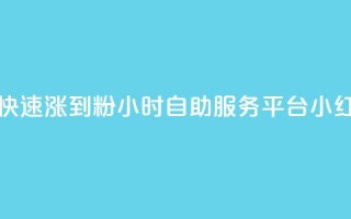 抖音如何快速涨到1000粉 - 24小时自助服务平台小红书