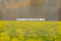 抖音涨多少粉丝可以赚钱