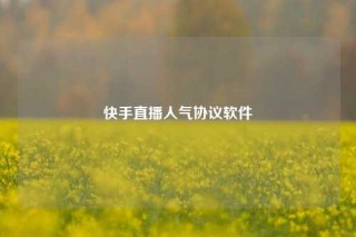 快手直播人气协议软件