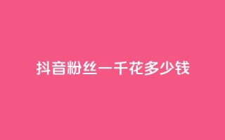 抖音粉丝一千花多少钱,卡密拿货渠道 - 业务下单平台超低价 - 全民K歌1元1000自助下单软件