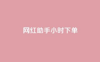 网红助手24小时下单,快手买的引流推广增加曝光度 - 抖音500粉丝报价多少 - 低价买qq会员的软件