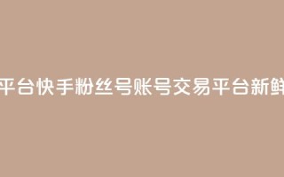 快手粉丝号账号交易平台 - 快手粉丝号账号交易平台 —— 新鲜交易平台【重写】。