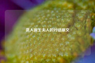 袭人跟王夫人的对话原文