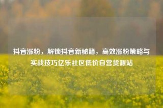 抖音涨粉，解锁抖音新秘籍，高效涨粉策略与实战技巧亿乐社区低价自营货源站
