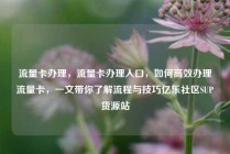 流量卡办理，流量卡办理入口，如何高效办理流量卡，一文带你了解流程与技巧亿乐社区SUP货源站