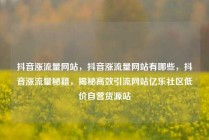 抖音涨流量网站，抖音涨流量网站有哪些，抖音涨流量秘籍，揭秘高效引流网站亿乐社区低价自营货源站