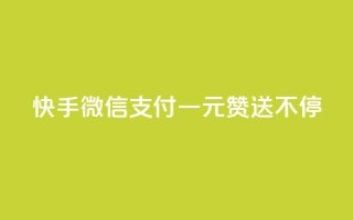 快手微信支付：一元赞送不停