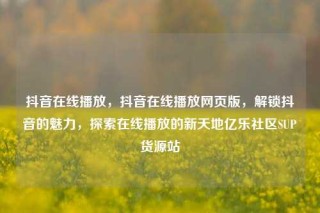 抖音在线播放，抖音在线播放网页版，解锁抖音的魅力，探索在线播放的新天地亿乐社区SUP货源站