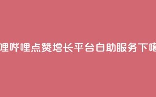 哔哩哔哩点赞增长平台自助服务