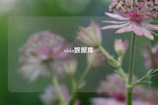 visia数据库