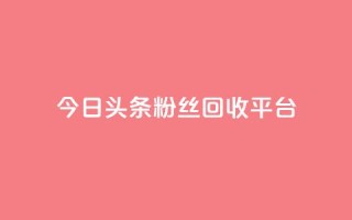 今日头条粉丝回收平台,ks推广自助网站 - 小龙秒赞网 - qq空间说说赞点赞在线平台
