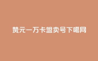 qq赞0.1元一万 - 卡盟卖QQ号