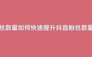 抖音怎么涨有效粉丝数量 - 如何快速提升抖音粉丝数量的有效方法~