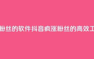抖音快速增长粉丝的软件 - 抖音疯涨粉丝的高效工具揭秘！