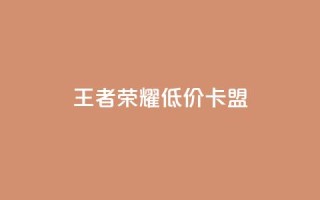 王者荣耀低价卡盟,卡盟dy业务 - 拼多多助力网站新用户 - 拼多多上可以讲价吗
