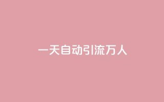 qq一天自动引流5万人,ks双参注册机 - qq超级会员代充网站便宜 - 抖音快速涨1000个