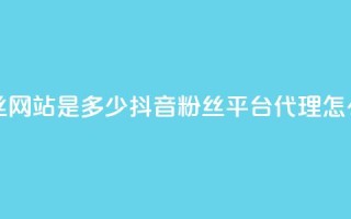 快手涨1000粉丝网站是多少 - 抖音粉丝平台代理怎么做
