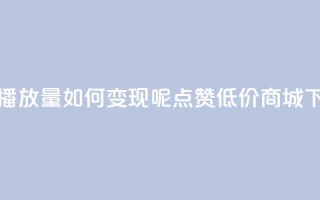 抖音播放量如何变现呢 - ks点赞低价商城0.01