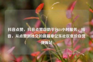 抖音点赞，抖音点赞自助平台24小时服务，抖音，从点赞到社交的新篇章亿乐社区低价自营货源站