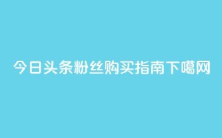 今日头条粉丝购买指南