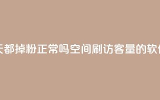 刷粉每天都掉粉正常吗 - QQ空间刷访客量的软件