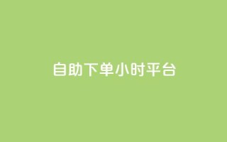 自助下单24小时平台Xhs - 自助下单平台Xhs再次革新，24小时内实现快速下单！~